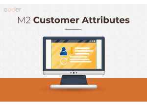 Magento 2 customer attributes main img