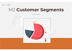 Magento 2 Customer Segment