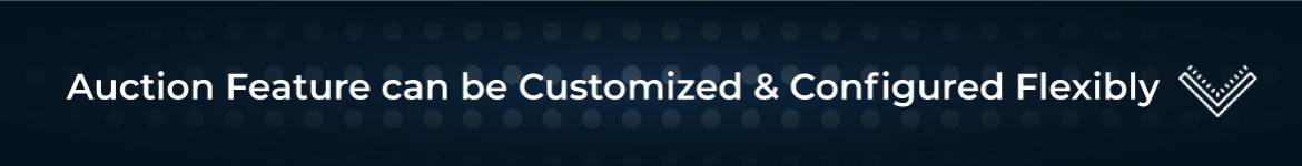 Magento 2 Auction customs features