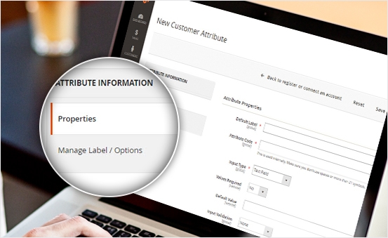 Magento 2 Customize attributes options & label
