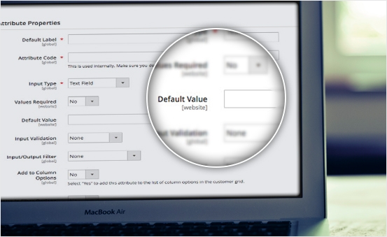Set a default value for the attributes