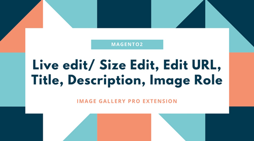 Live edit/ Size Edit, Edit URL, Title, Description, Image Role 